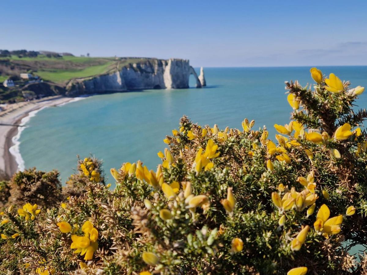 La Flore Marine Saint-Jouin-Bruneval Dış mekan fotoğraf