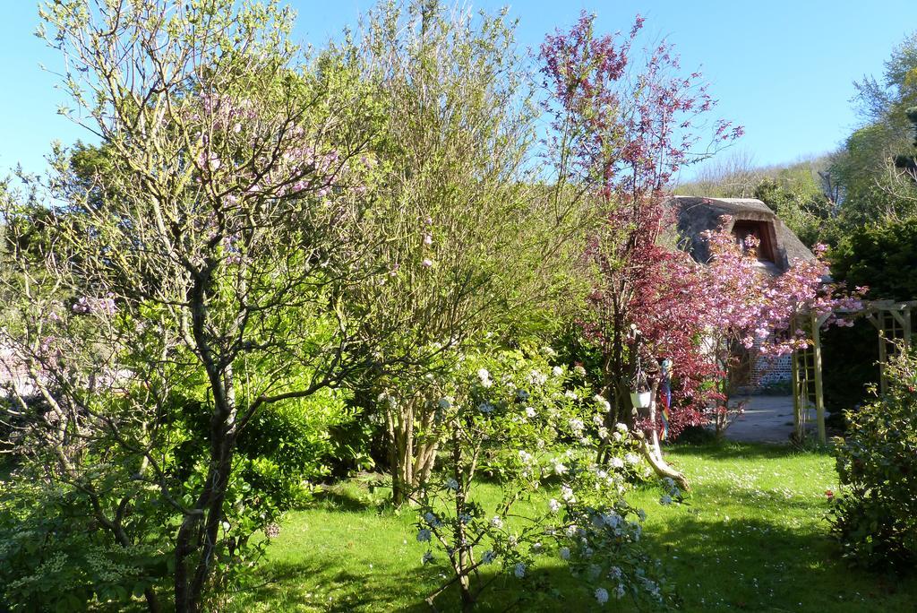La Flore Marine Saint-Jouin-Bruneval Dış mekan fotoğraf